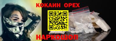 крисы Кулебаки