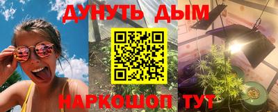 крисы Кулебаки