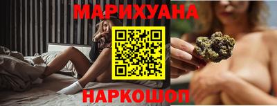 крисы Кулебаки