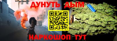 крисы Кулебаки