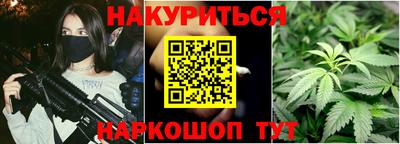 крисы Кулебаки