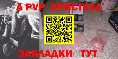 крисы Кулебаки