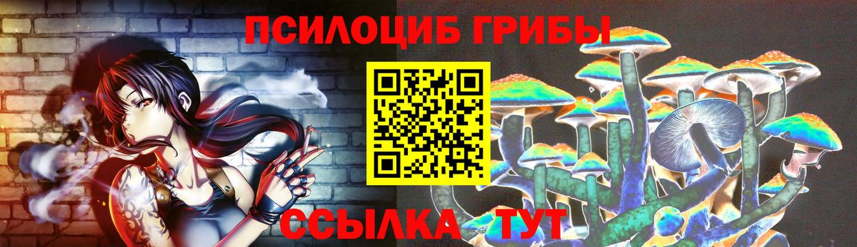Касимов  Псилоцибиновые грибы мицелий  где можно купить   Псилоцибиновые грибы мухоморы  Вход с VPN 